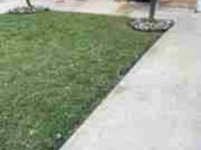 Lawn care service in Pharr, 78577