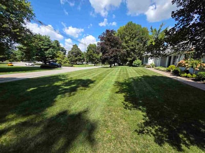 Lawn care service in Louisville, 40207