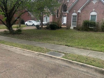 Lawn care service in Ridgeland, 39157