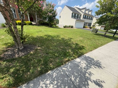 Lawn care service in Winchester, 22602