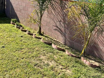 Lawn care service in Lomita, 90717