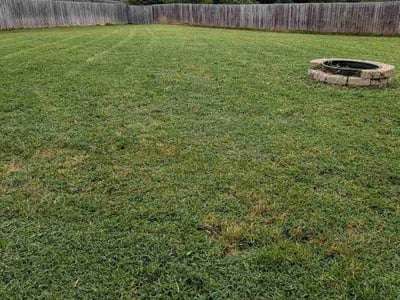 Lawn care service in Clarksville, 37042