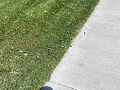 Lawn care service in Windsor, 80550