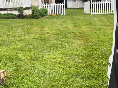 Lawn care service in Baltimore, 21207
