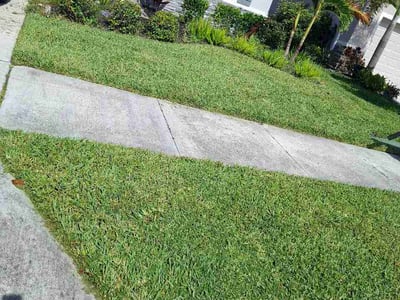 Lawn care service in Sarasota, 34238