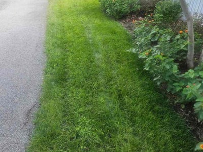 Lawn care service in Prospect, 40059