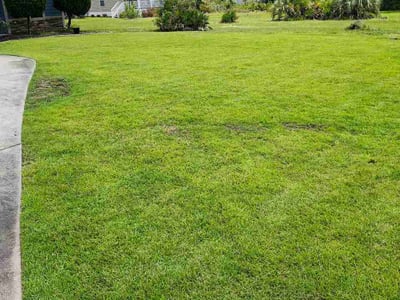 Lawn care service in Navarre, 32566