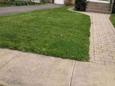 Lawn care service in Bristol, 06010
