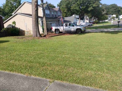 Lawn care service in Charleston, 29420