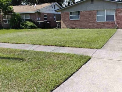 Lawn care service in Jacksonville, 32244