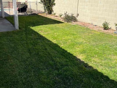 Lawn care service in Chandler, 85225