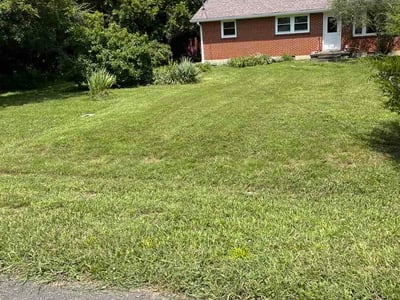 Lawn care service in La Vergne, 37086