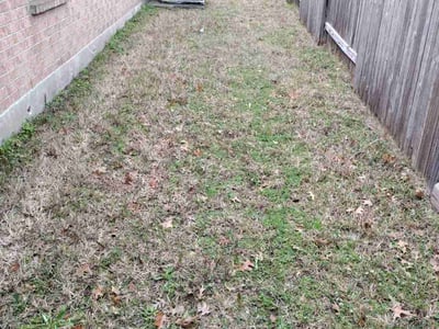 Lawn care service in , 