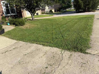 Lawn care service in Bloomington, 47401