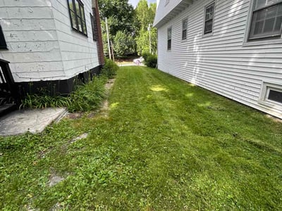 Lawn care service in Albany, 12203