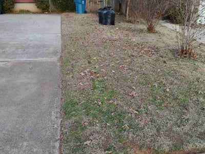 Lawn care service in , 