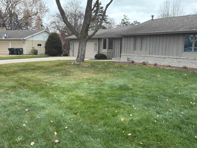 Lawn care service in Minneapolis, 55431