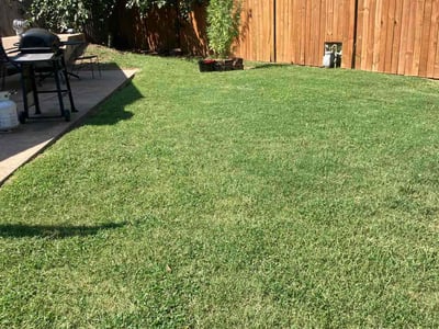 Lawn care service in Del City, 73115