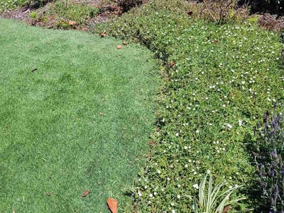 Lawn care service in Ventura, 93003