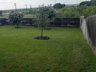 Lawn care service in San Antonio, 78260