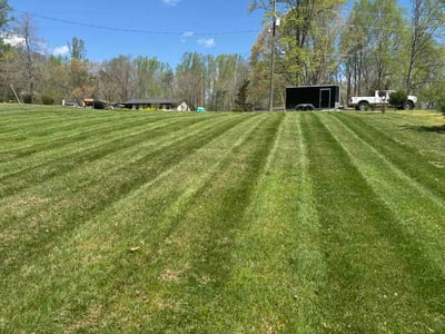 Lawn care service in Stafford, 22556