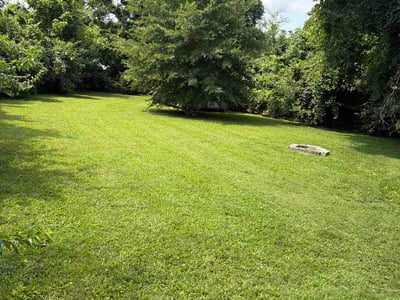Lawn care service in Nashville, 37207