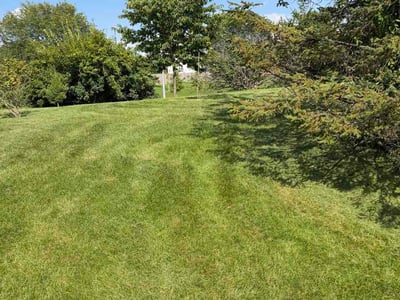 Lawn care service in Westerville, 43081