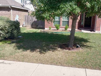 Lawn care service in Pflugerville, 78660