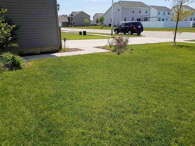 Lawn care service in Cedar Lake, 46303