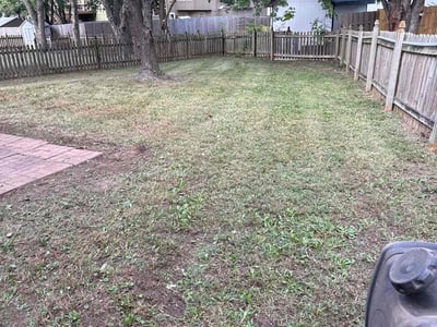 Lawn care service in Olathe, 66061