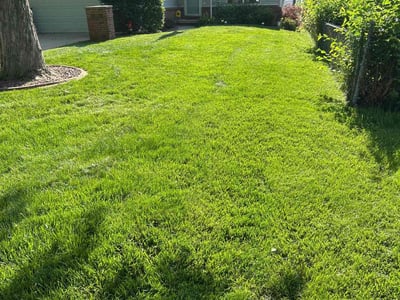 Lawn care service in Toledo, 43623