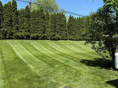 Lawn care service in Allentown, 18106