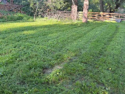 Lawn care service in New Market, 21774