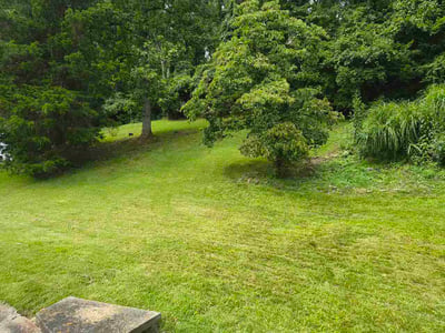 Lawn care service in Charleston, 25312