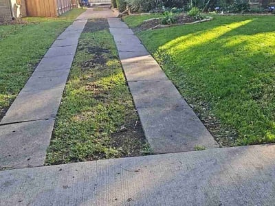 Lawn care service in Dallas, 75206
