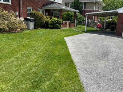 Lawn care service in Towson, 21286