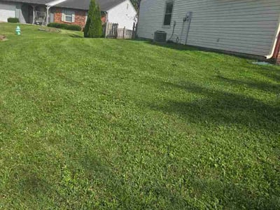 Lawn care service in Indianapolis, 46234