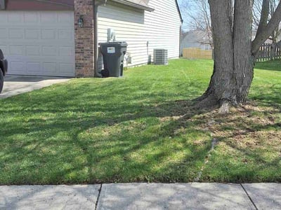 Lawn care service in Avon, 46123