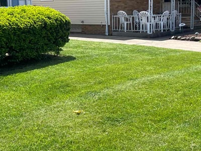 Lawn care service in Parma, 44129