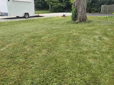 Lawn care service in Joliet, 60433