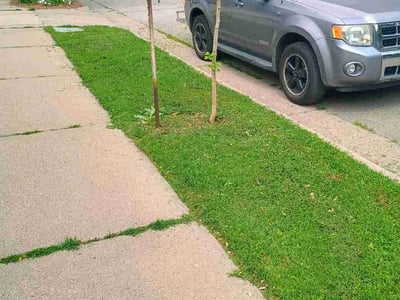 Lawn care service in Minneapolis, 55417