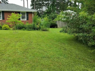 Lawn care service in Portsmouth, 23701