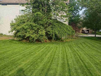 Lawn care service in Lewis Center, 43035
