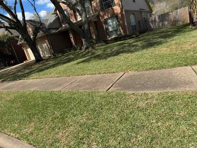 Lawn care service in Seabrook, 77586