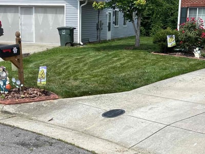Lawn care service in Greensboro, 27405