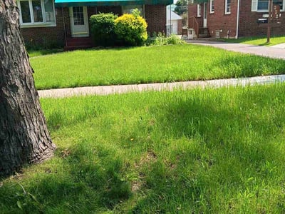 Lawn care service in Buffalo, 14217