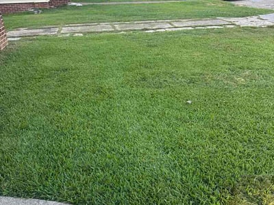 Lawn care service in Gadsden, 35903