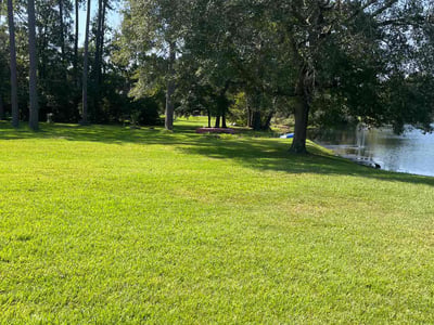 Lawn care service in Tallahassee, 32312