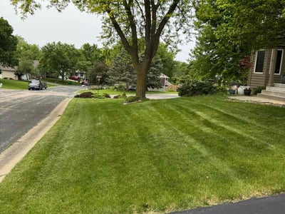 Lawn care service in Excelsior, 55331