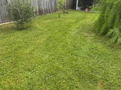 Lawn care service in Jefferson, 70121